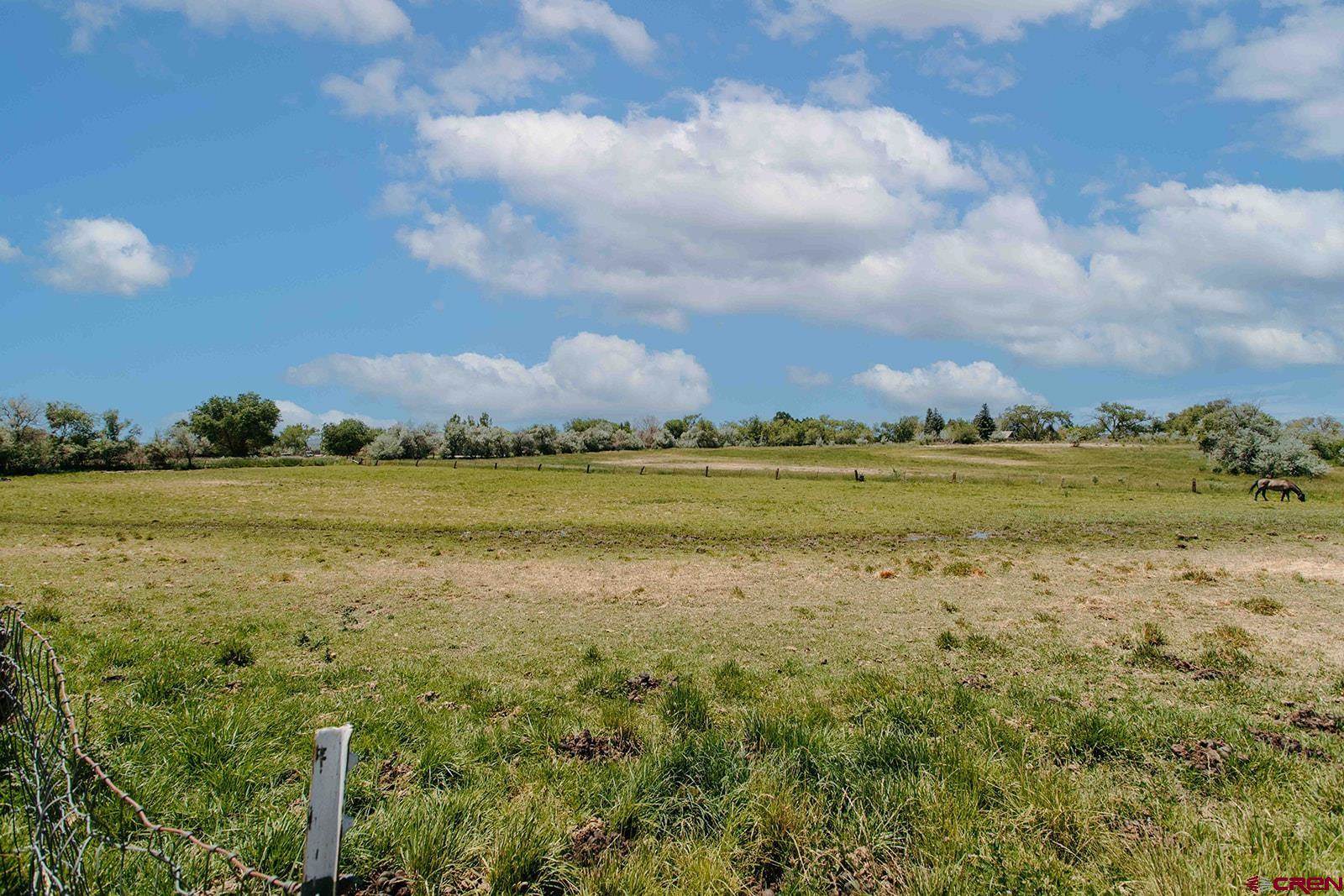 14679 5875 Road, Montrose, CO 81403