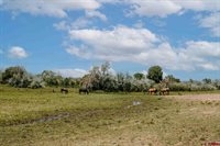 14679 5875 Road, Montrose, CO 81403