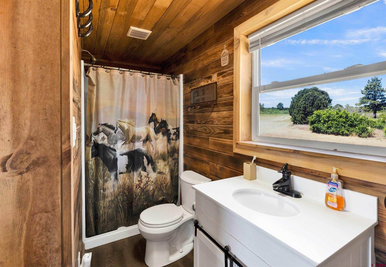 1748 Dave Wood Road, Montrose, CO 81403