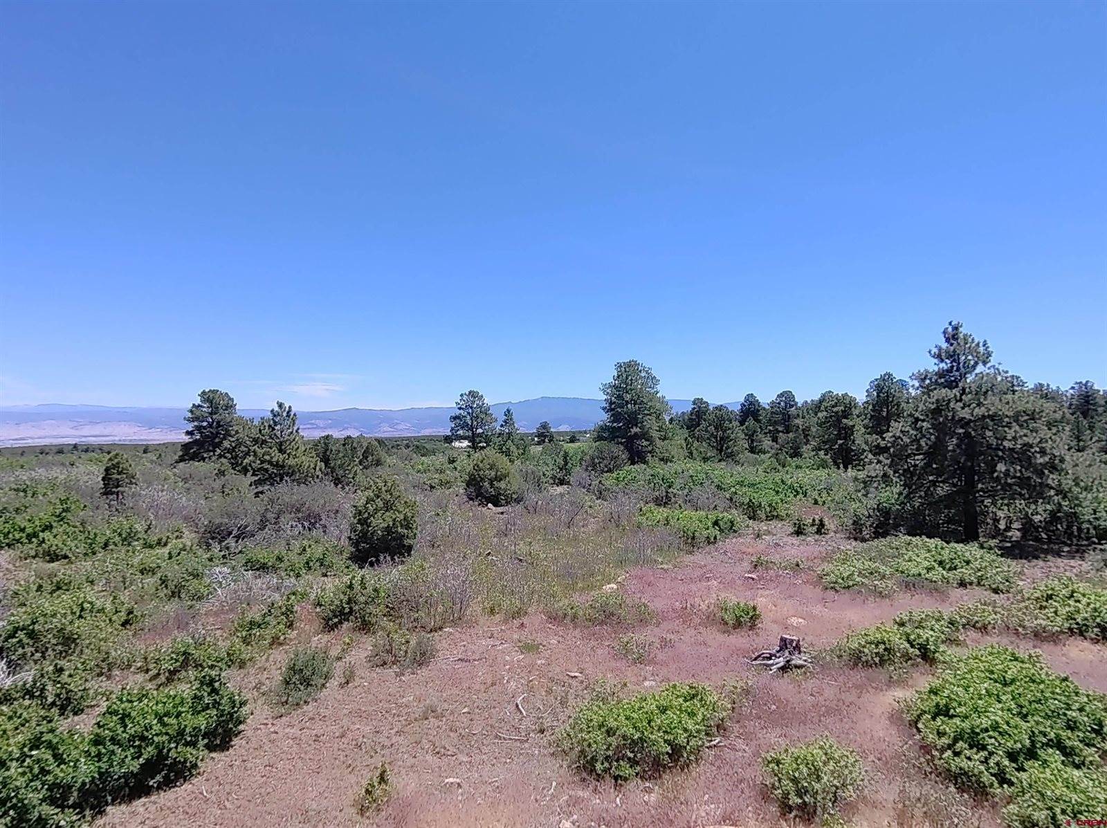 1748 Dave Wood Road, Montrose, CO 81403