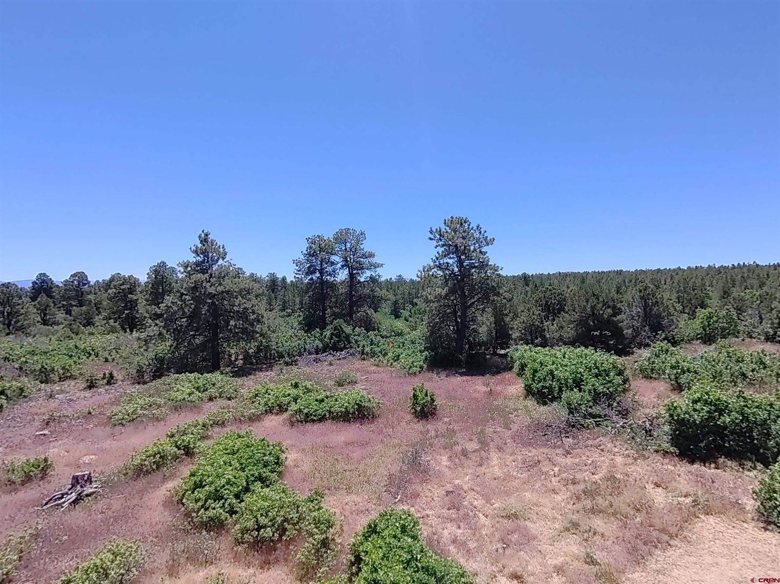 1748 Dave Wood Road, Montrose, CO 81403