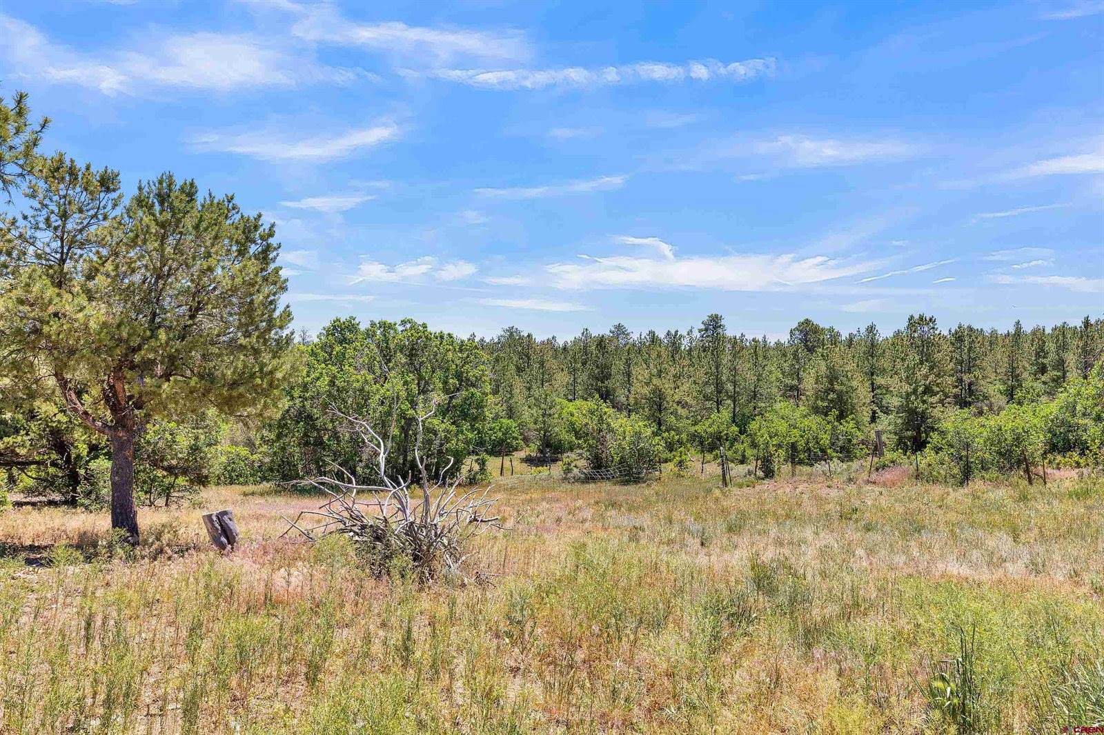 1748 Dave Wood Road, Montrose, CO 81403