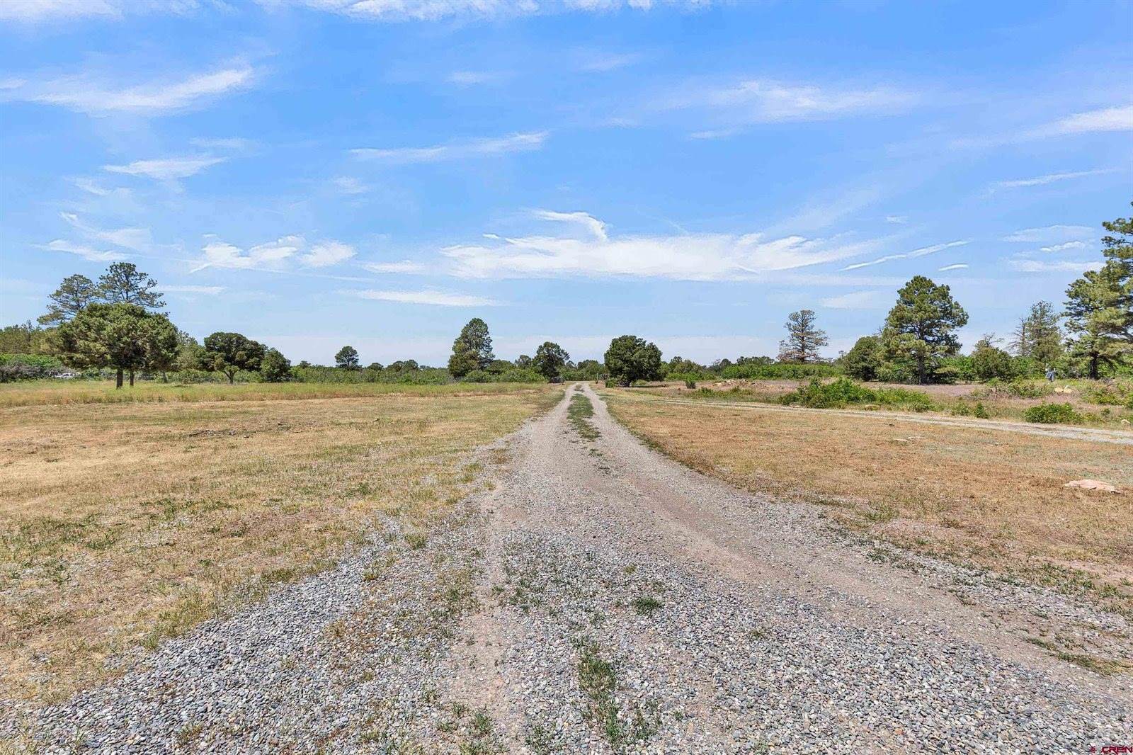 1748 Dave Wood Road, Montrose, CO 81403