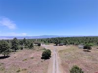1748 Dave Wood Road, Montrose, CO 81403
