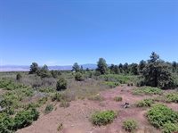 1748 Dave Wood Road, Montrose, CO 81403