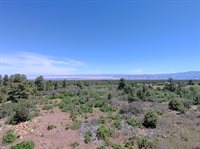 1748 Dave Wood Road, Montrose, CO 81403
