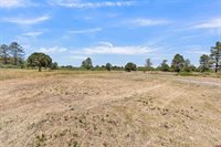 1748 Dave Wood Road, Montrose, CO 81403