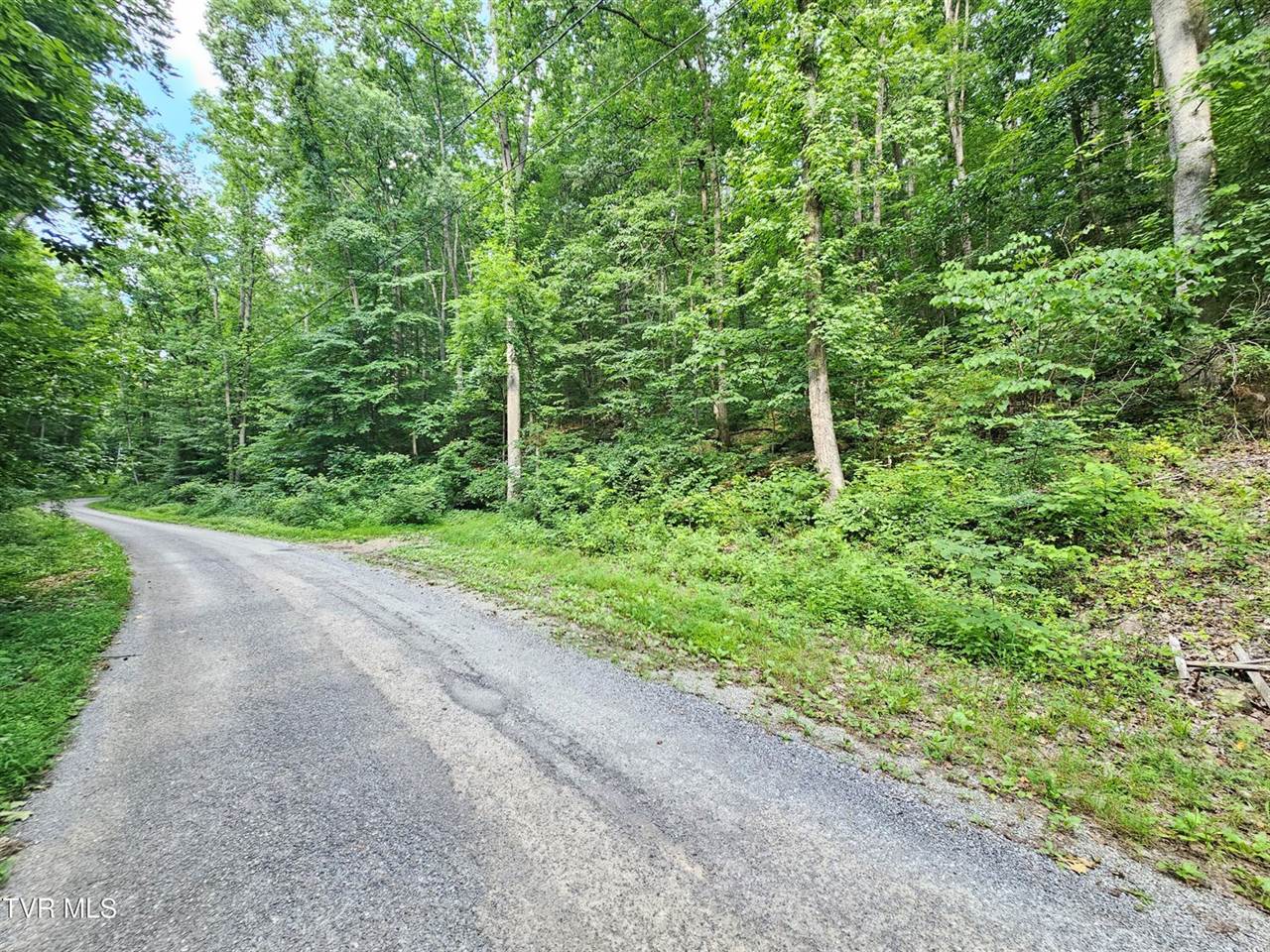 Lot 9 Stone Mtn Road, Bulls Gap, TN 37711