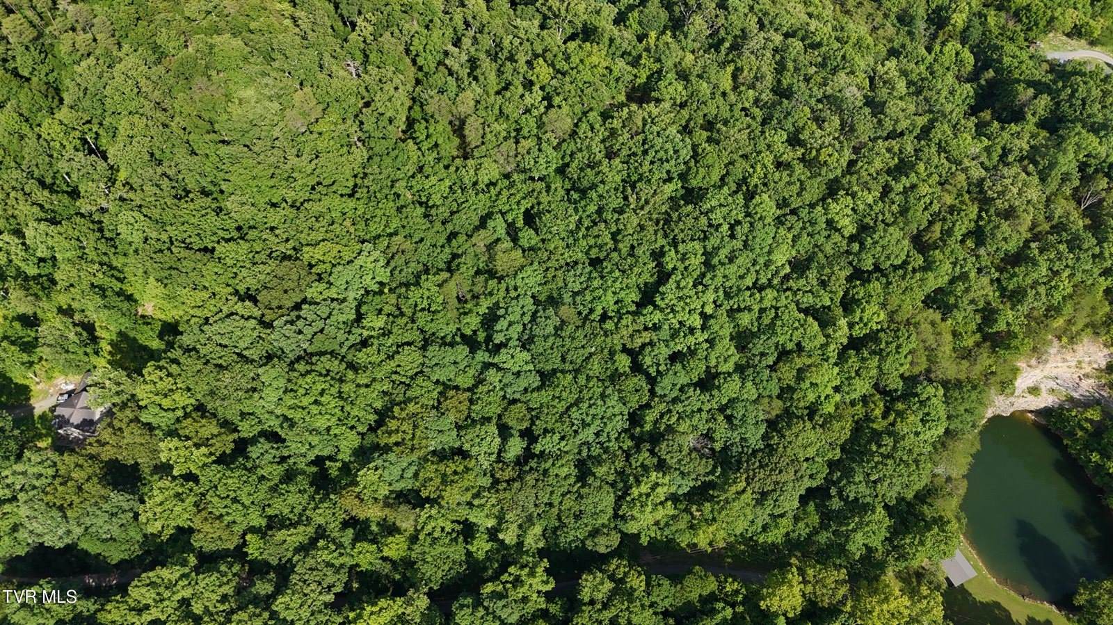 Lot 9 Stone Mtn Road, Bulls Gap, TN 37711