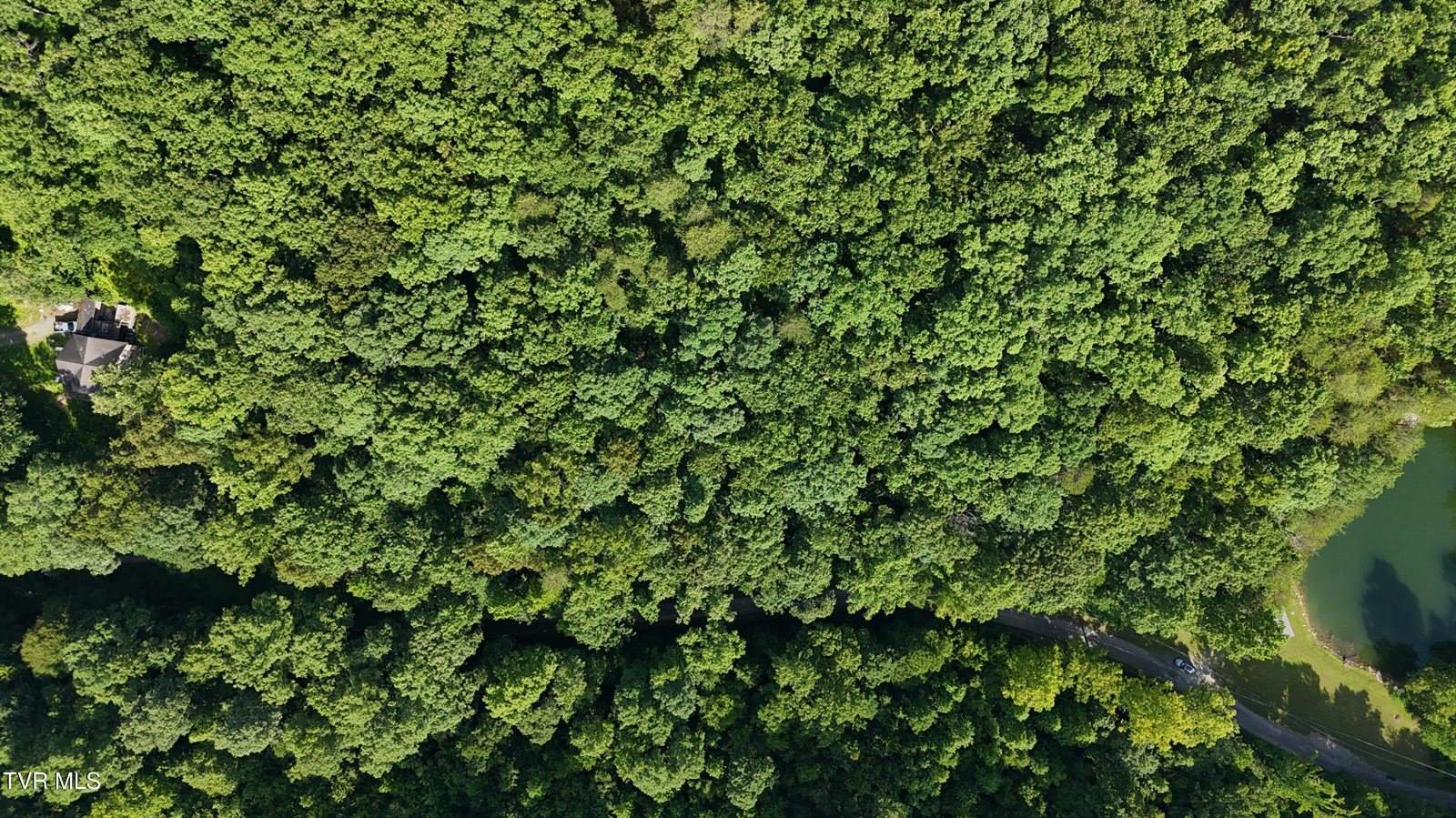 Lot 9 Stone Mtn Road, Bulls Gap, TN 37711