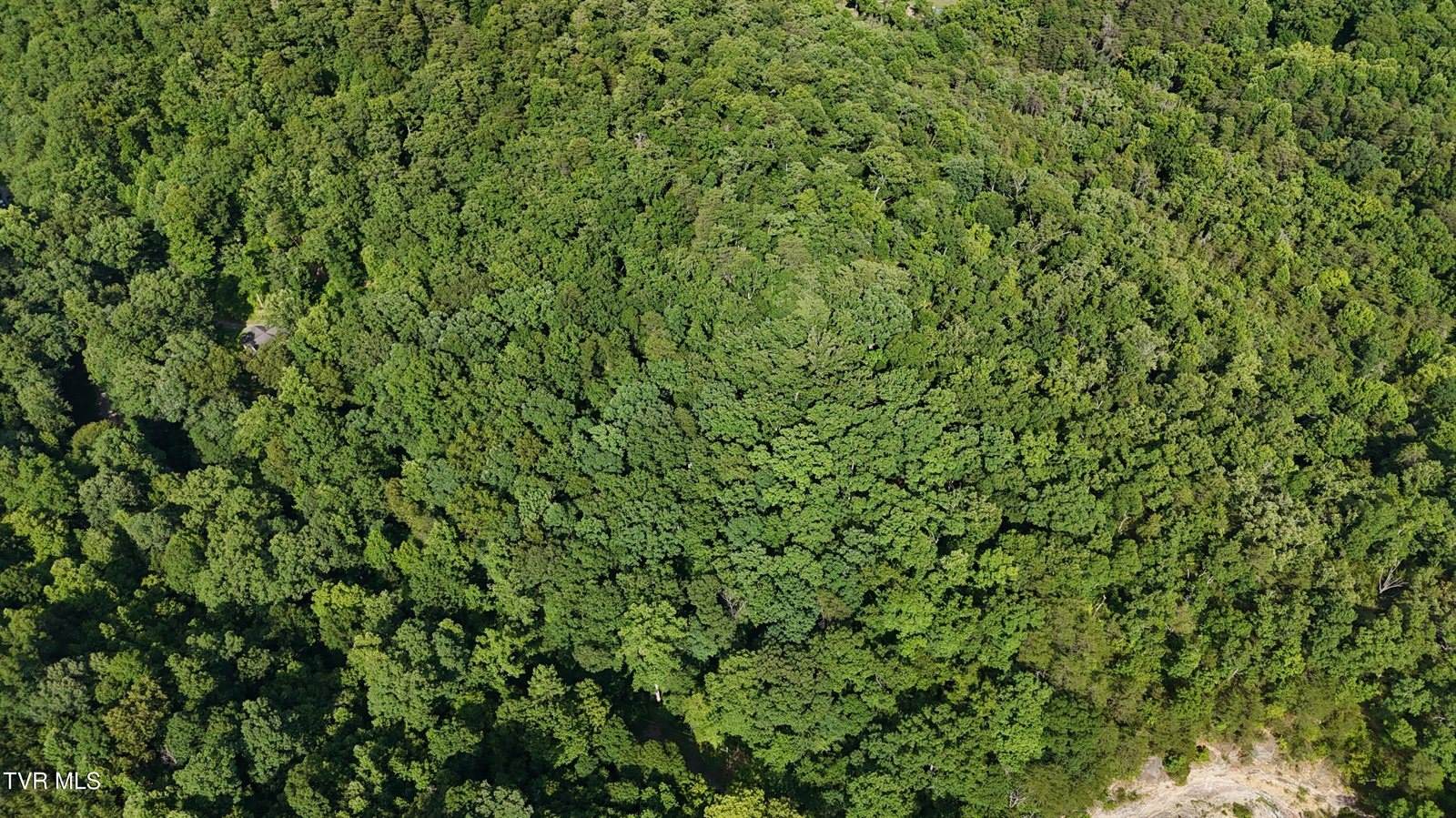 Lot 9 Stone Mtn Road, Bulls Gap, TN 37711