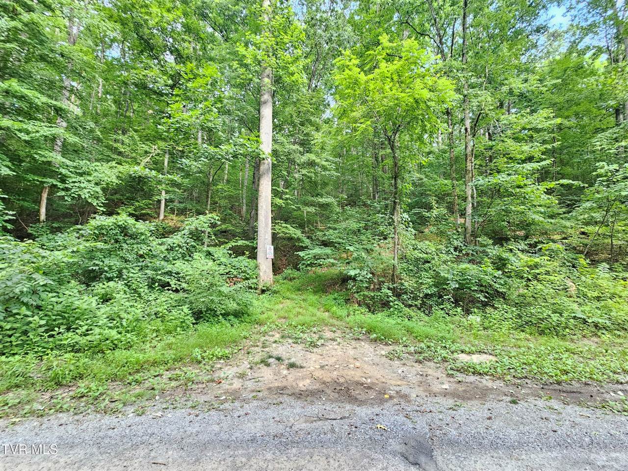 Lot 9 Stone Mtn Road, Bulls Gap, TN 37711