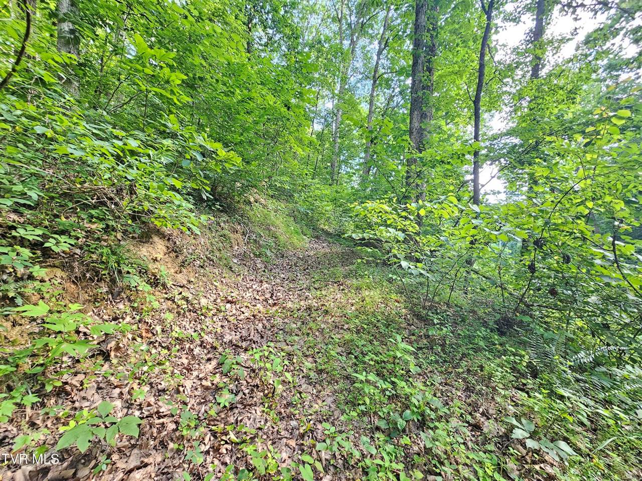 Lot 9 Stone Mtn Road, Bulls Gap, TN 37711