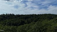 Lot 9 Stone Mtn Road, Bulls Gap, TN 37711