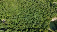 Lot 9 Stone Mtn Road, Bulls Gap, TN 37711