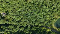 Lot 9 Stone Mtn Road, Bulls Gap, TN 37711