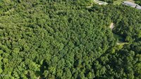 Lot 9 Stone Mtn Road, Bulls Gap, TN 37711