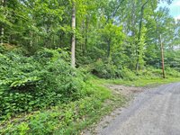 Lot 9 Stone Mtn Road, Bulls Gap, TN 37711