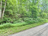 Lot 9 Stone Mtn Road, Bulls Gap, TN 37711