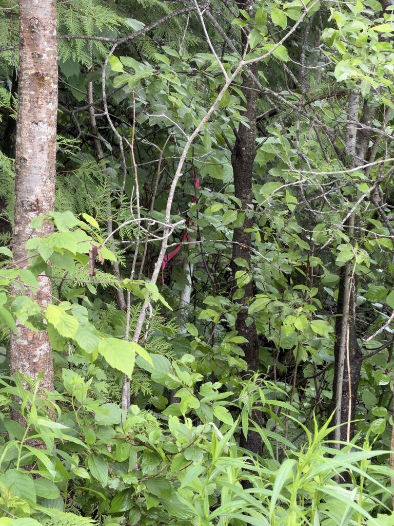 M3 L7-E Fowler Road, Woodland, ME 04736