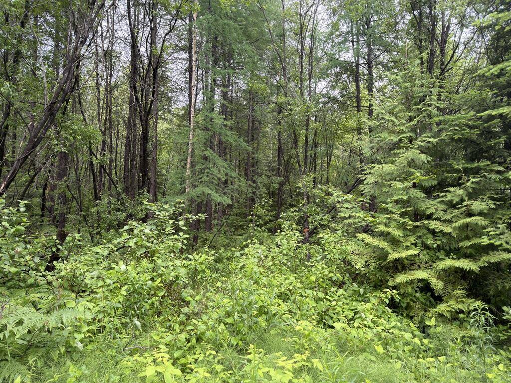 M3 L7-E Fowler Road, Woodland, ME 04736