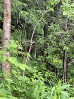 M3 L7-E Fowler Road, Woodland, ME 04736
