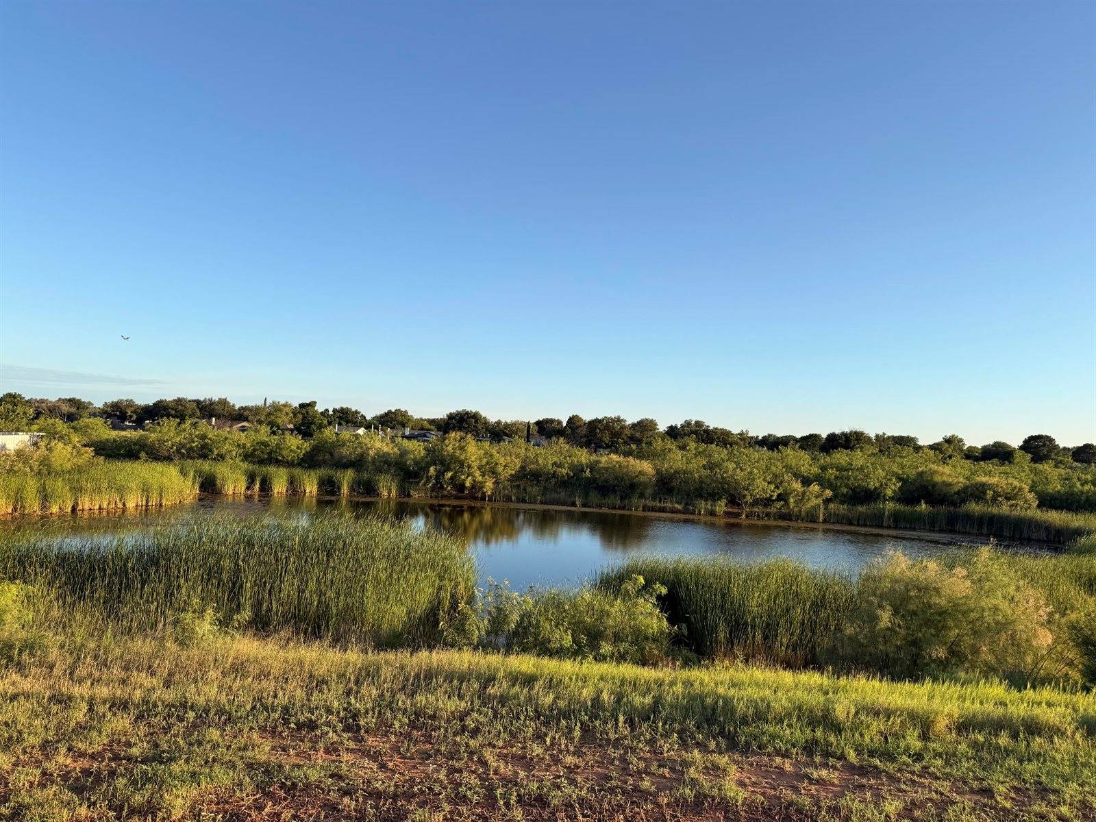 3613 Cedar Creek Drive, San Angelo, TX 76904