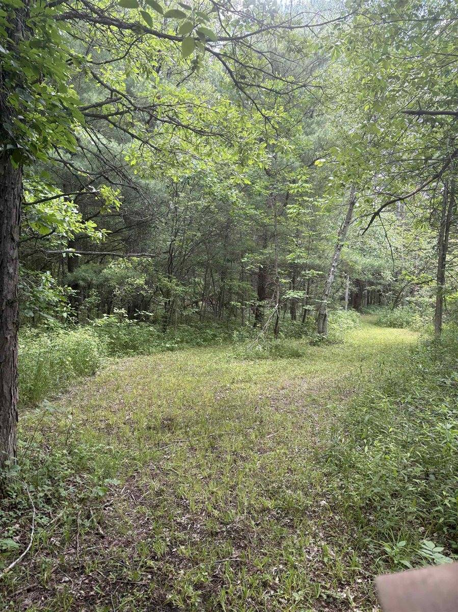 3680 Wieman Road, Beaverton, MI 48612
