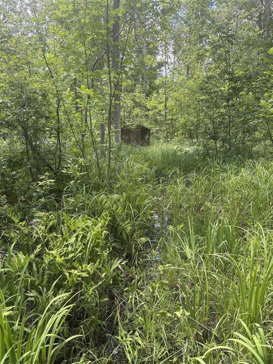 3680 Wieman Road, Beaverton, MI 48612
