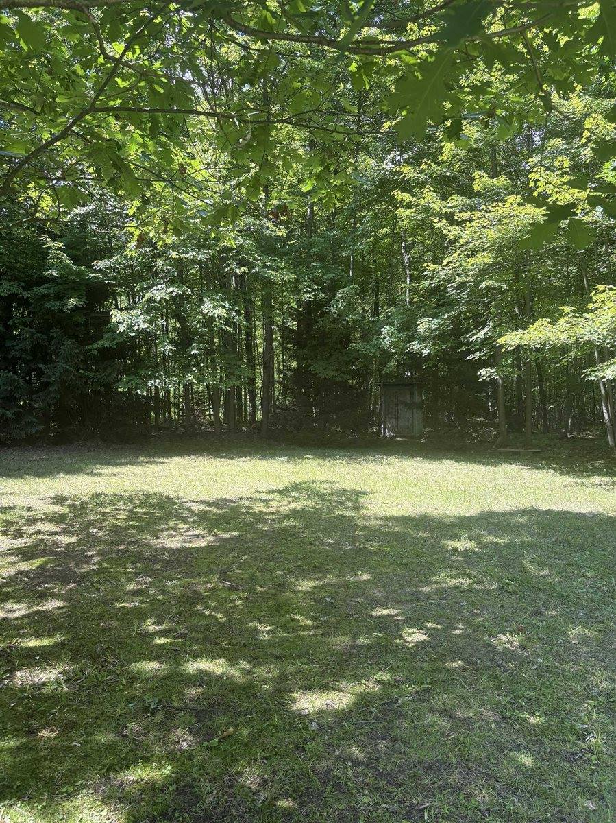 3680 Wieman Road, Beaverton, MI 48612