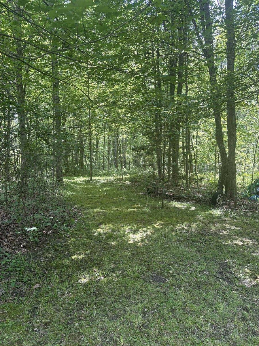 3680 Wieman Road, Beaverton, MI 48612