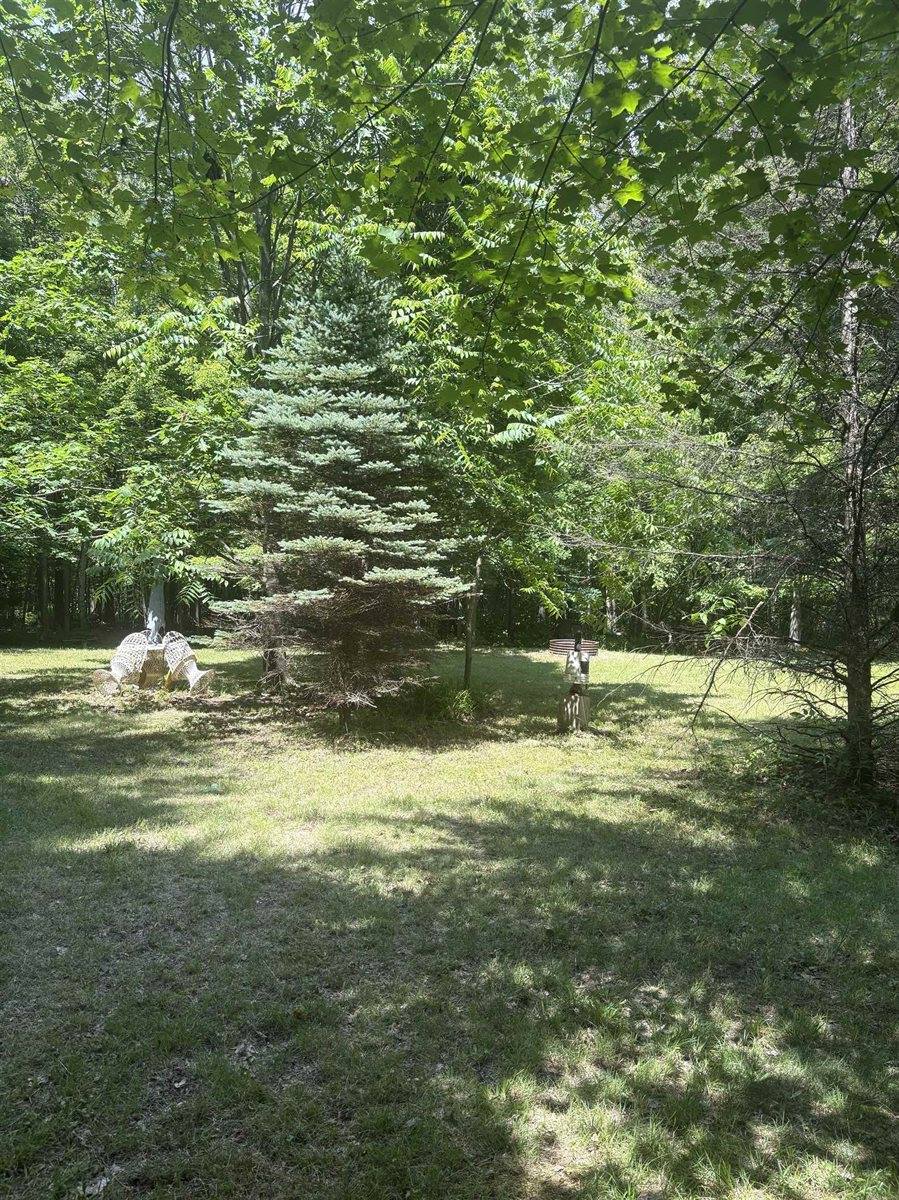 3680 Wieman Road, Beaverton, MI 48612