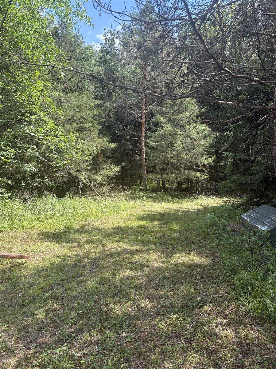 3680 Wieman Road, Beaverton, MI 48612