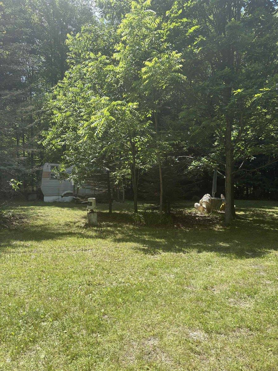 3680 Wieman Road, Beaverton, MI 48612