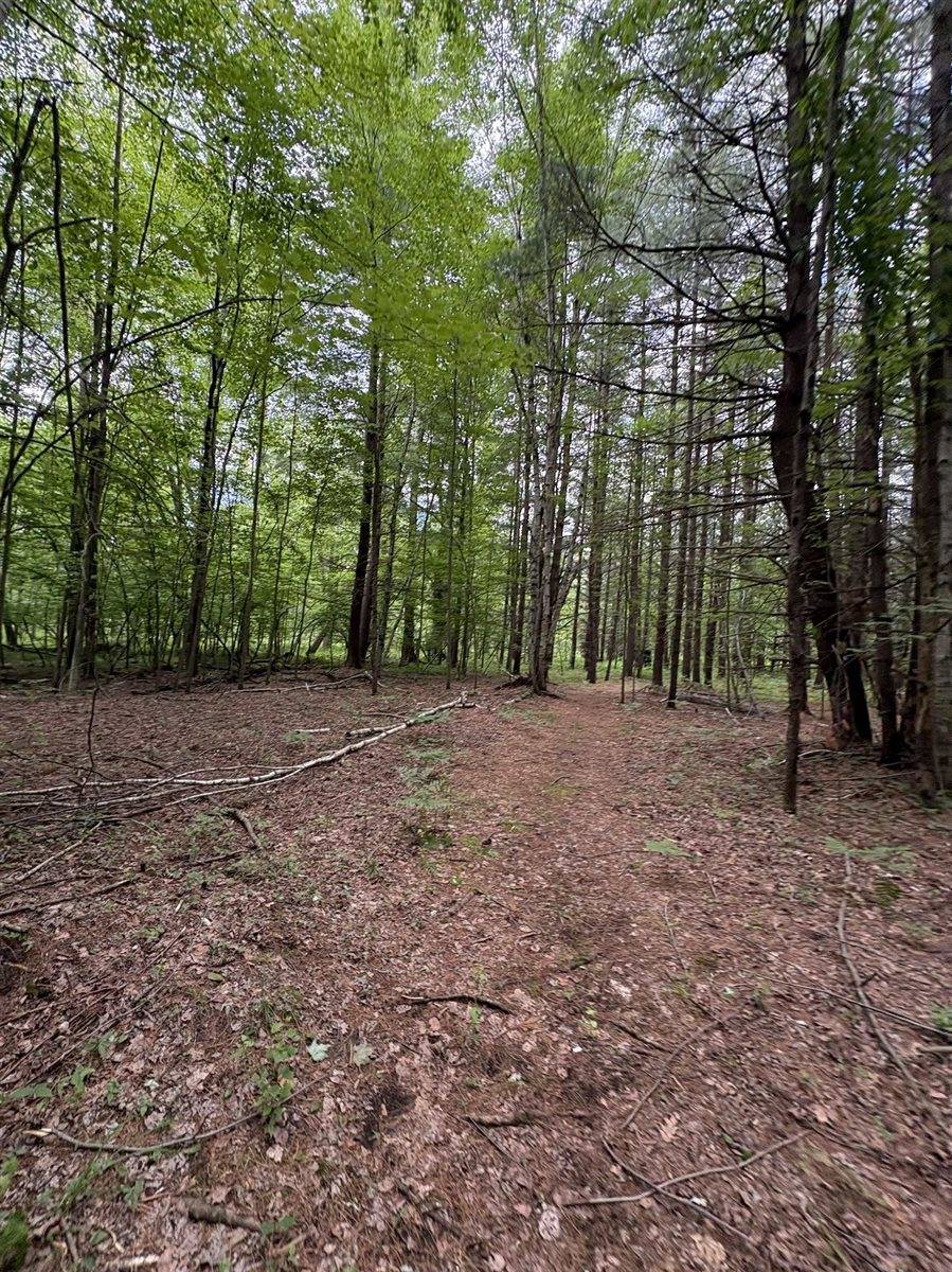 3680 Wieman Road, Beaverton, MI 48612