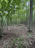 3680 Wieman Road, Beaverton, MI 48612