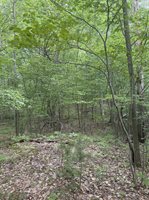 3680 Wieman Road, Beaverton, MI 48612