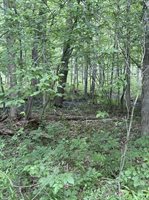 3680 Wieman Road, Beaverton, MI 48612