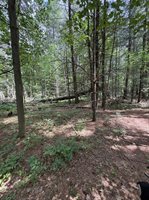 3680 Wieman Road, Beaverton, MI 48612
