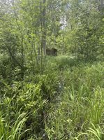 3680 Wieman Road, Beaverton, MI 48612