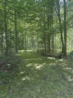 3680 Wieman Road, Beaverton, MI 48612