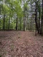 3680 Wieman Road, Beaverton, MI 48612