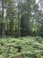 3680 Wieman Road, Beaverton, MI 48612