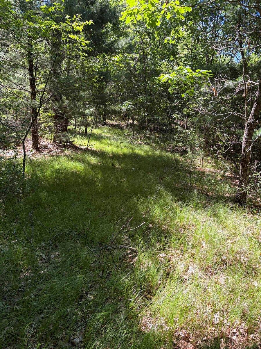 8713 North 3rd, Westfield, WI 53964