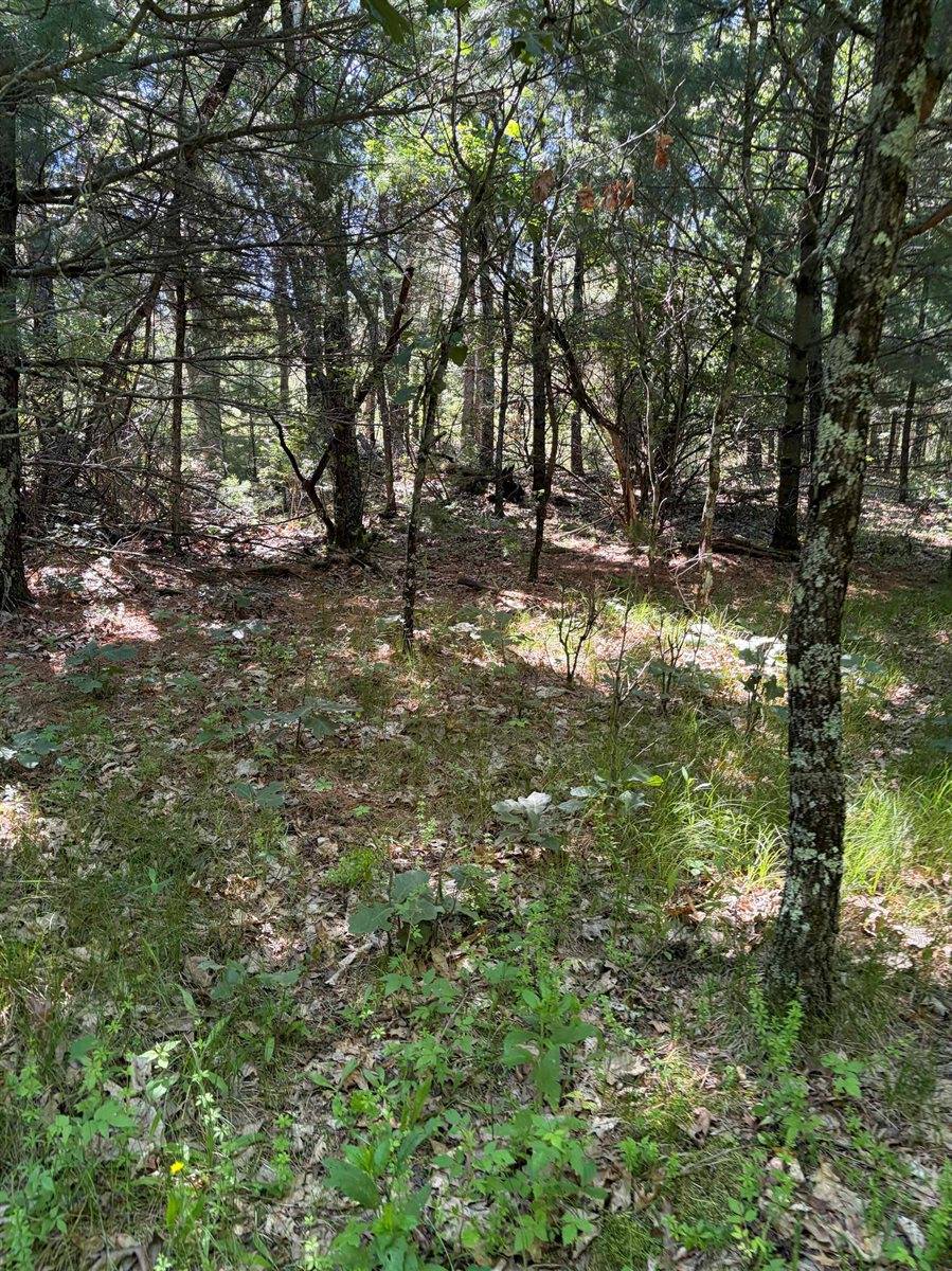 8713 North 3rd, Westfield, WI 53964