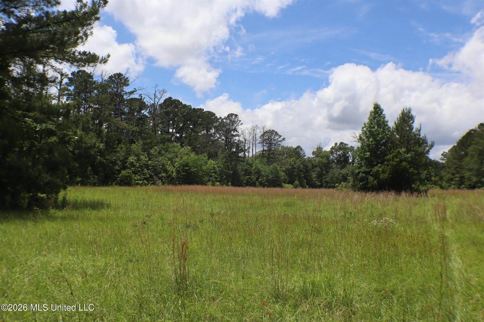 Vine Drive, Brandon, MS 39047