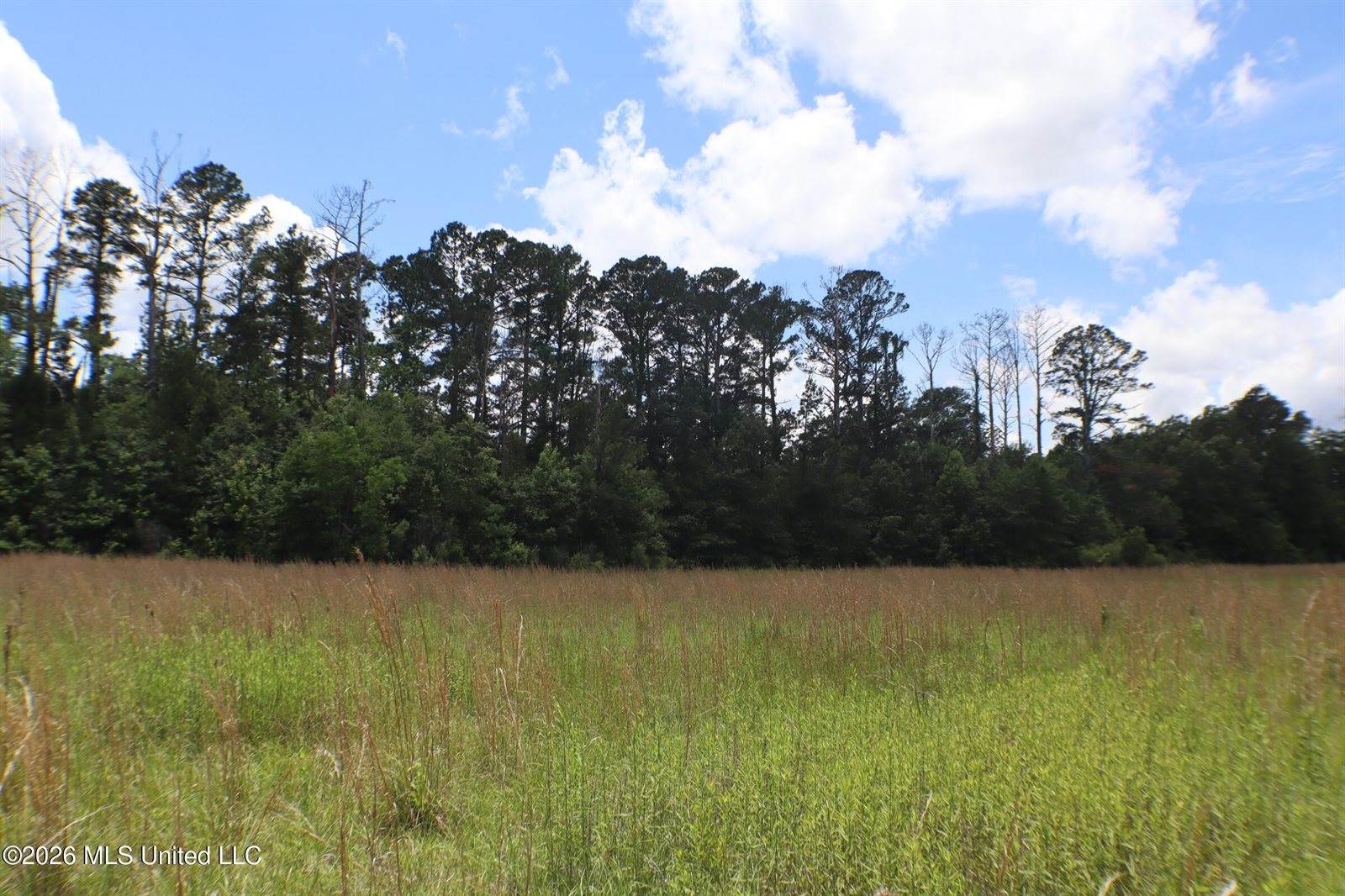 Vine Drive, Brandon, MS 39047