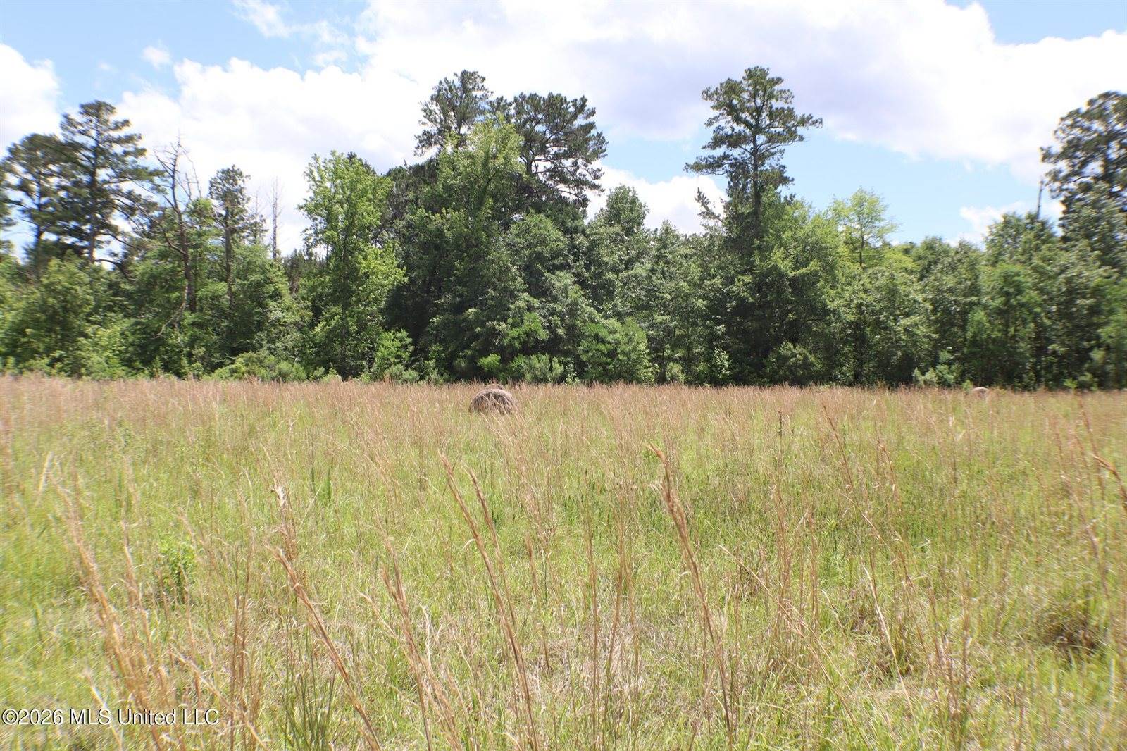 Vine Drive, Brandon, MS 39047