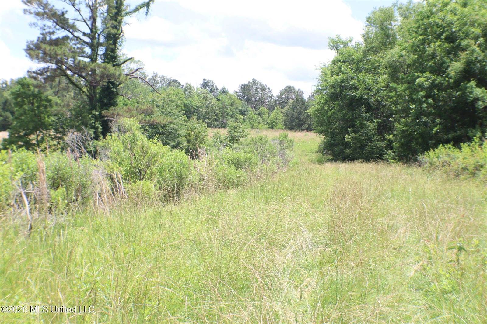 Vine Drive, Brandon, MS 39047
