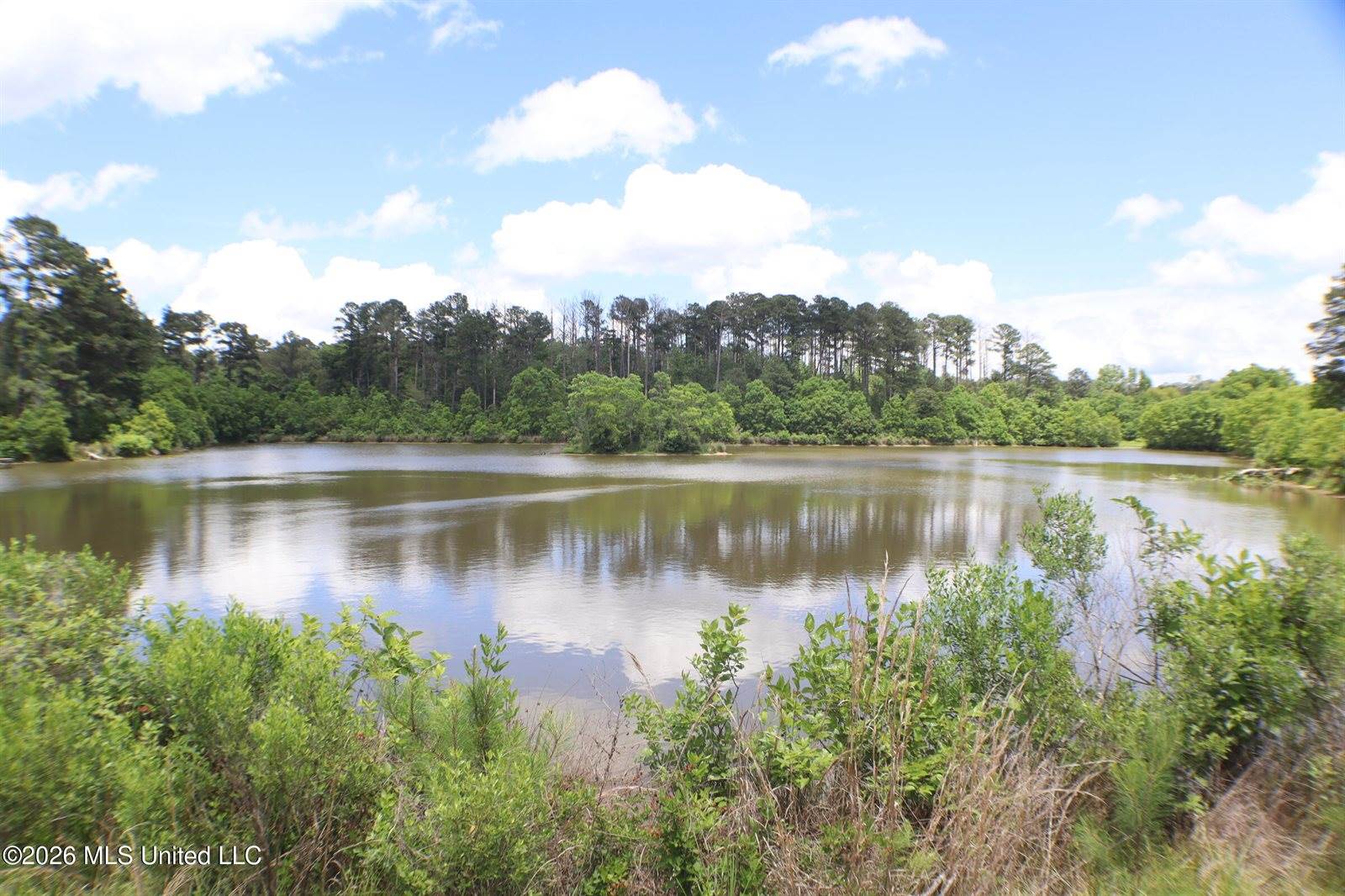 Vine Drive, Brandon, MS 39047
